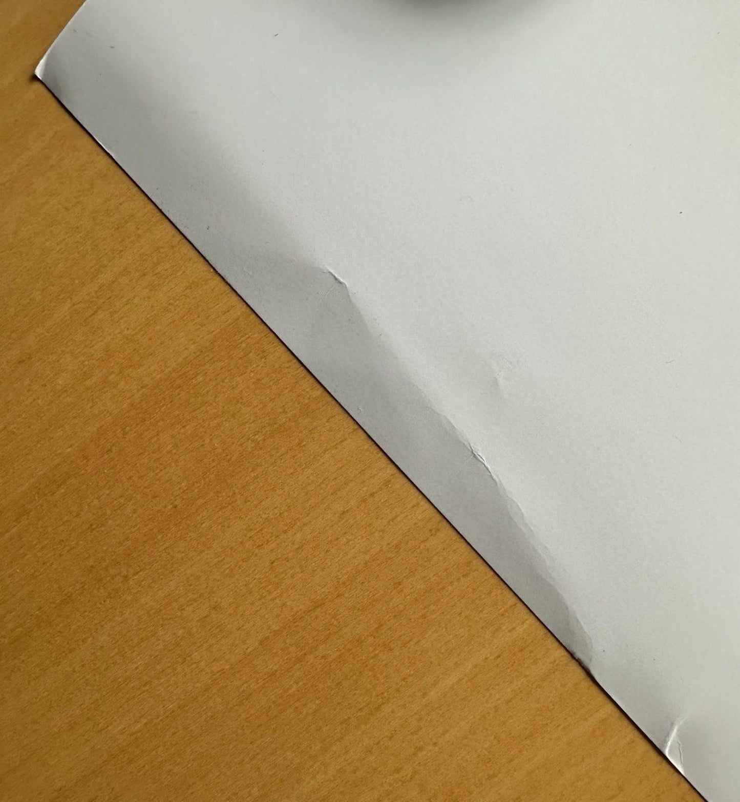 2004 Vintage Poster of Canoeing in the Rockies - United Airlines - Travel Aviation Kayaking Canadiana