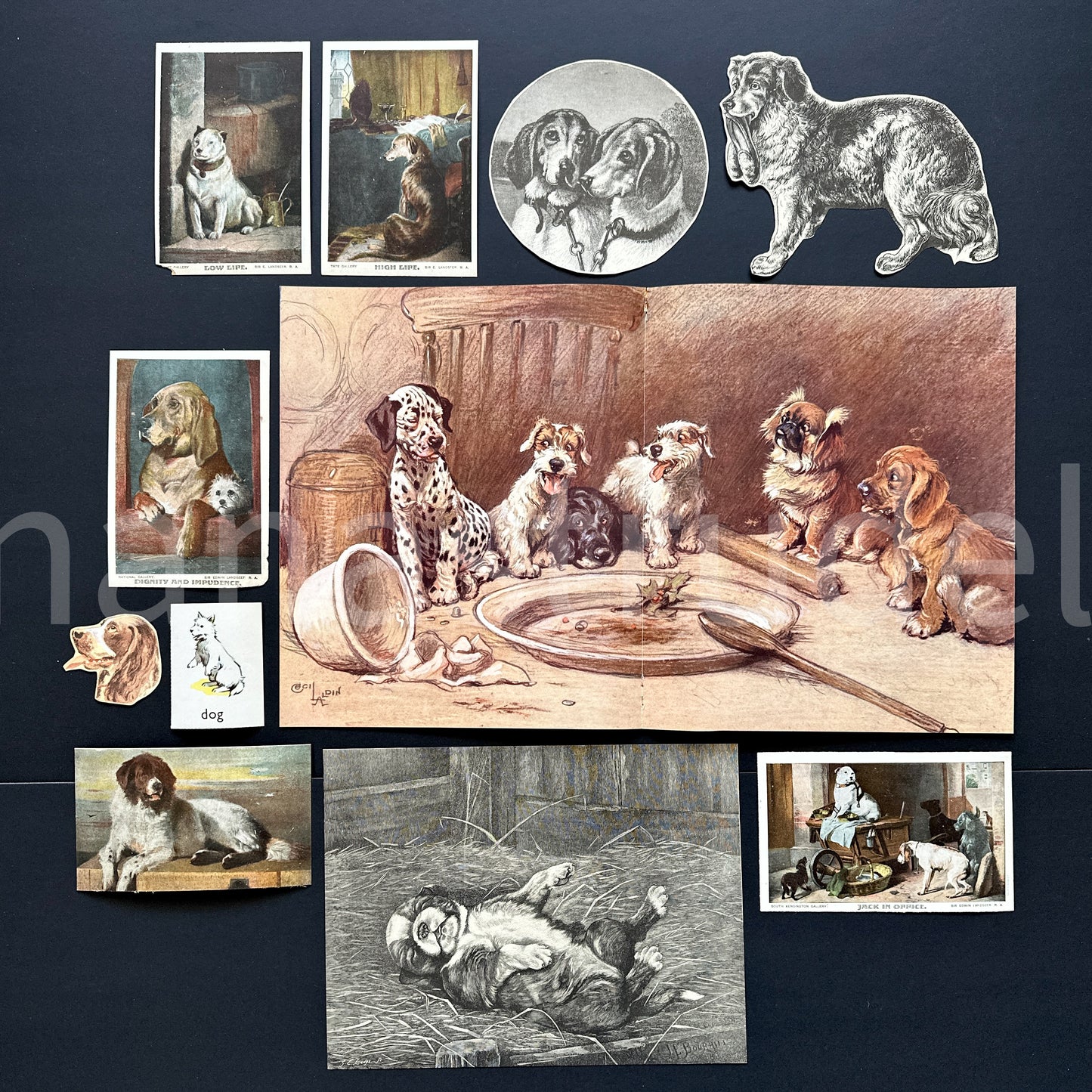 Vintage dog ephemera kit featuring a curated collection of antique canine illustrations, early 1900s postcards and retro dog-themed paper scraps for junk journaling.