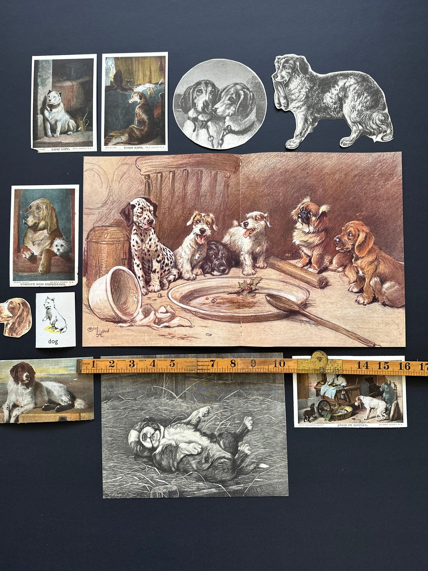 1880s-1960s Set of 11 Dog illustrations | Vintage Ephemera Pack for Art, Collage, Mixed Media