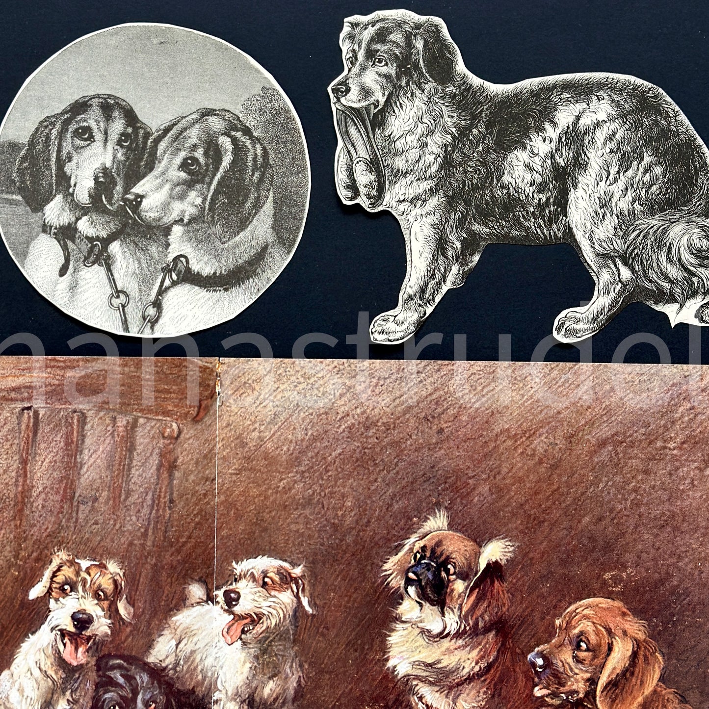 1880s-1960s Set of 11 Dog illustrations | Vintage Ephemera Pack for Art, Collage, Mixed Media