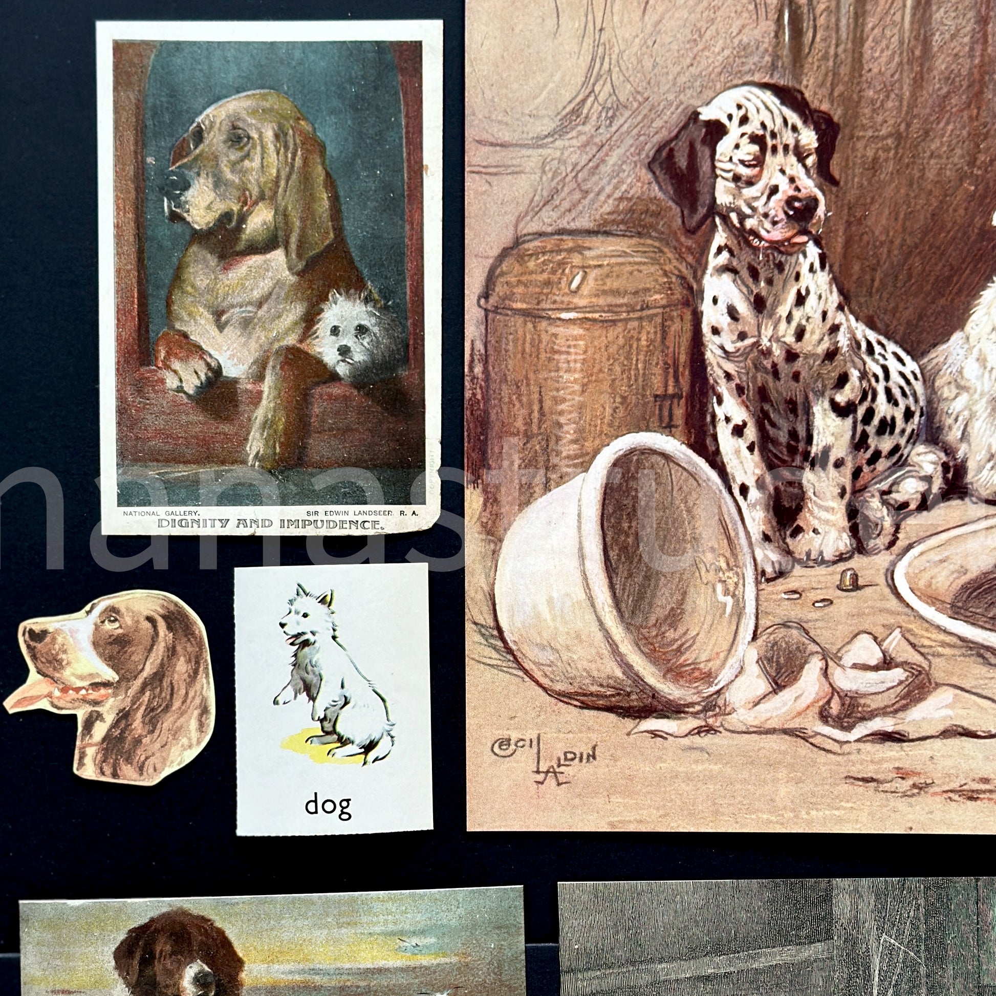 Detailed macro shot of dog postcard and vintage canine illustrations with authentic distressed edges and sepia tones.