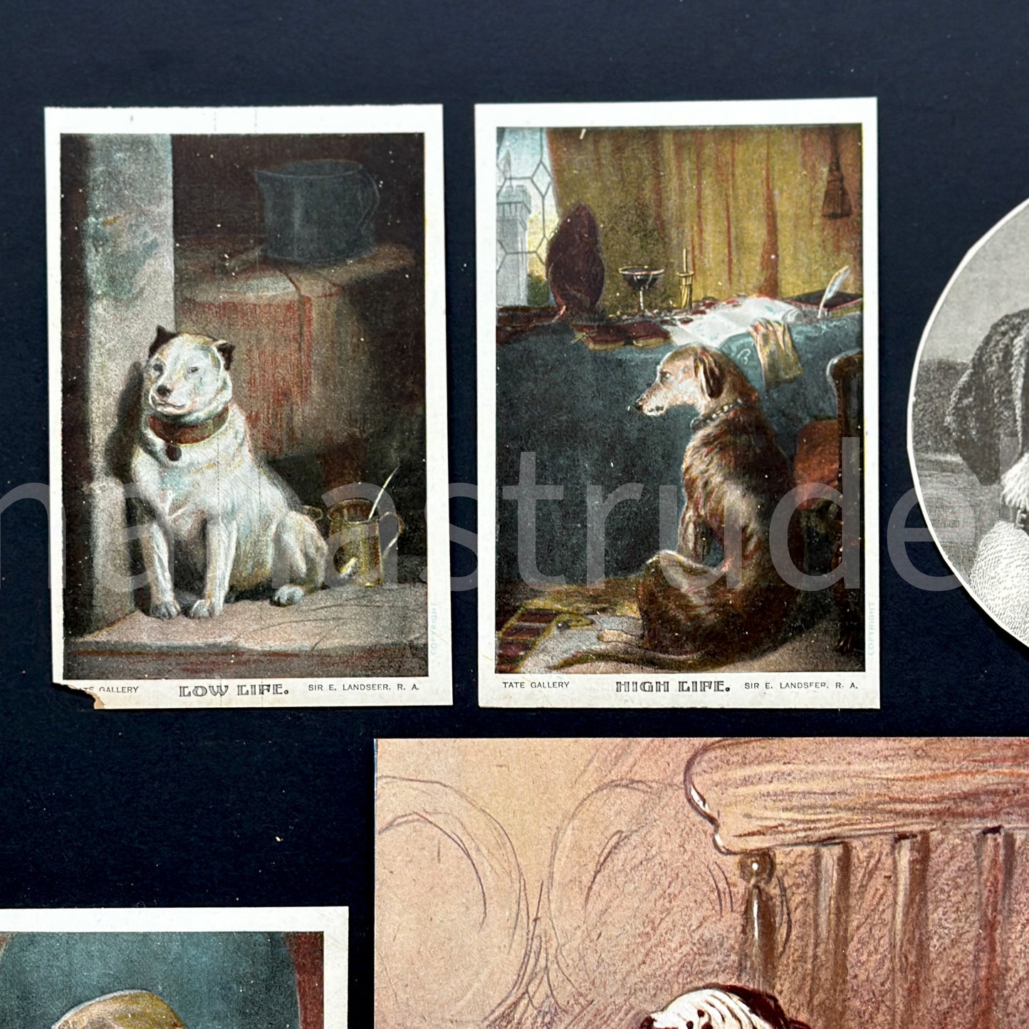 1880s-1960s Set of 11 Dog illustrations | Vintage Ephemera Pack for Art, Collage, Mixed Media