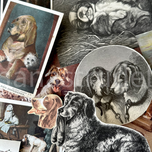 Vintage dog ephemera kit featuring a curated collection of antique canine illustrations, early 1900s postcards and retro dog-themed paper scraps for junk journaling.
