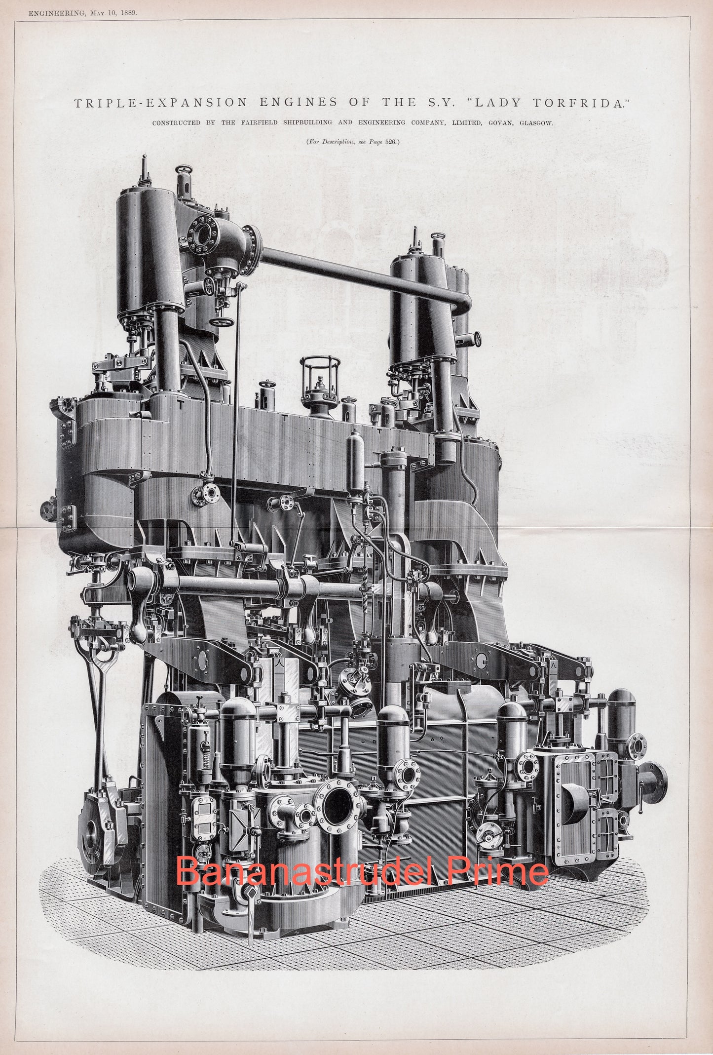 Triple Expansion Engines of the S. V. Lady Torfrida - Large Antique Technical Drawing - 1889 Rare Poster-Sized Engineering Drawing