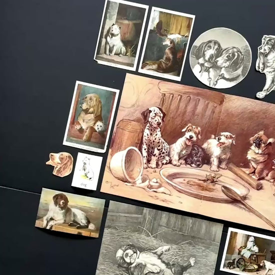 bow WOW video of authentic vintage dog ephemera pack.