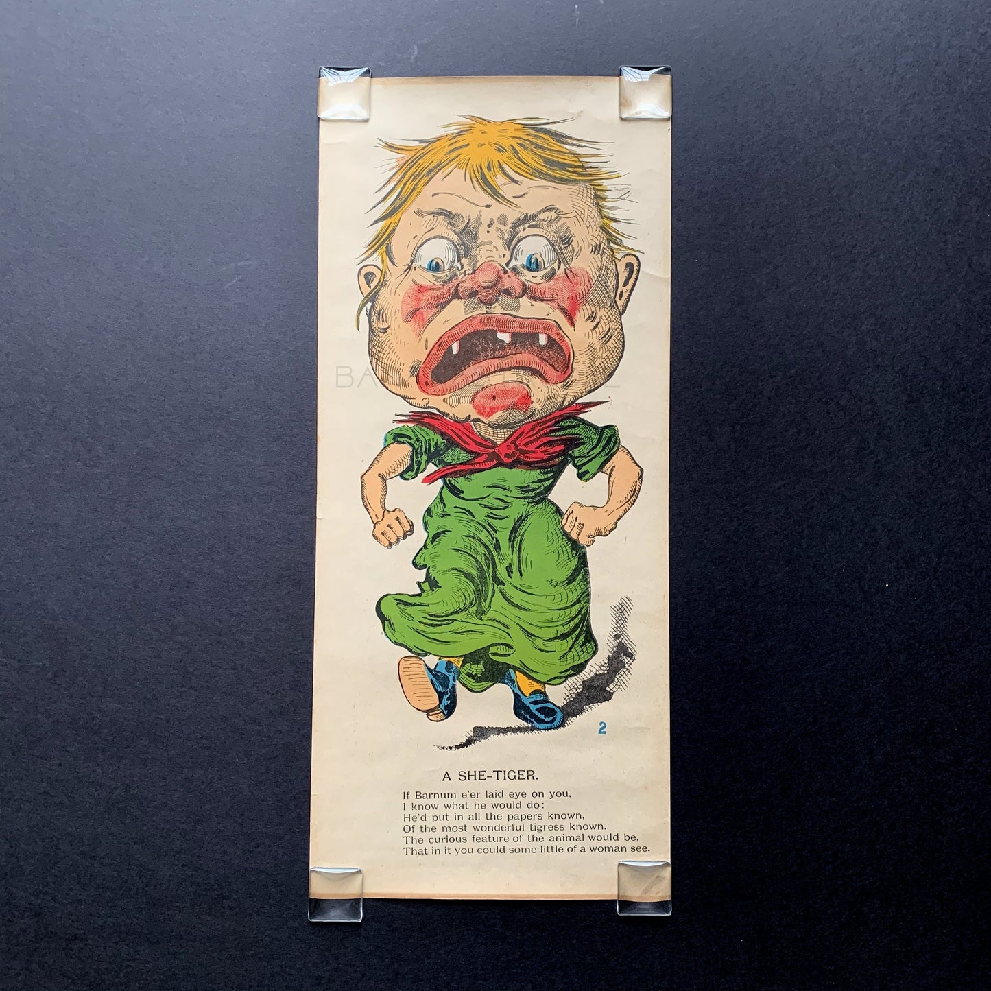 Very Rare Large Antique Penny Dreadful / Vinegar Valentine / 1850s - 1890s Insult - She Tiger - Tigress - Ugly Woman